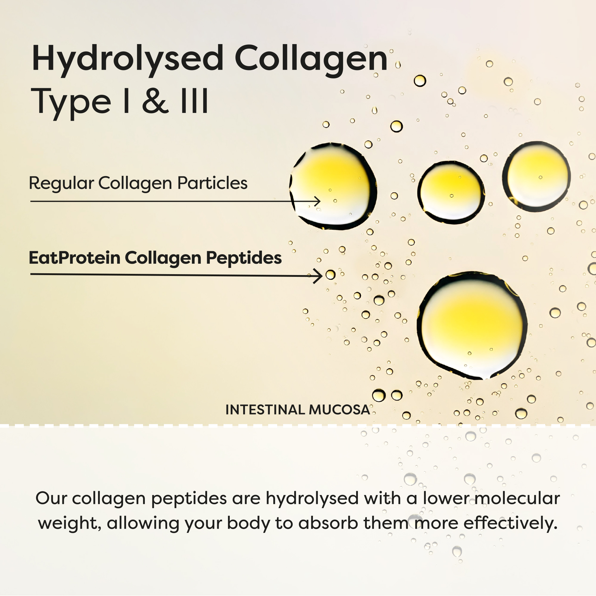 EatProtein Collagen Tropical Juice particles dissolving in water