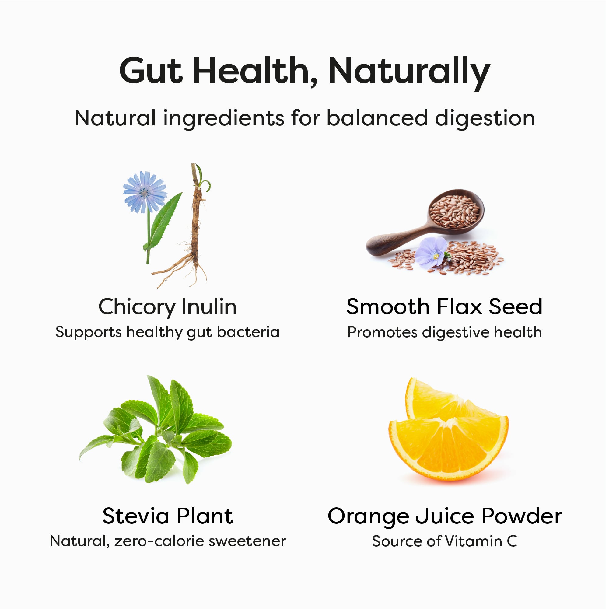 Daily Duo Bundle - Plant Protein + FibreMaxx - Image 13