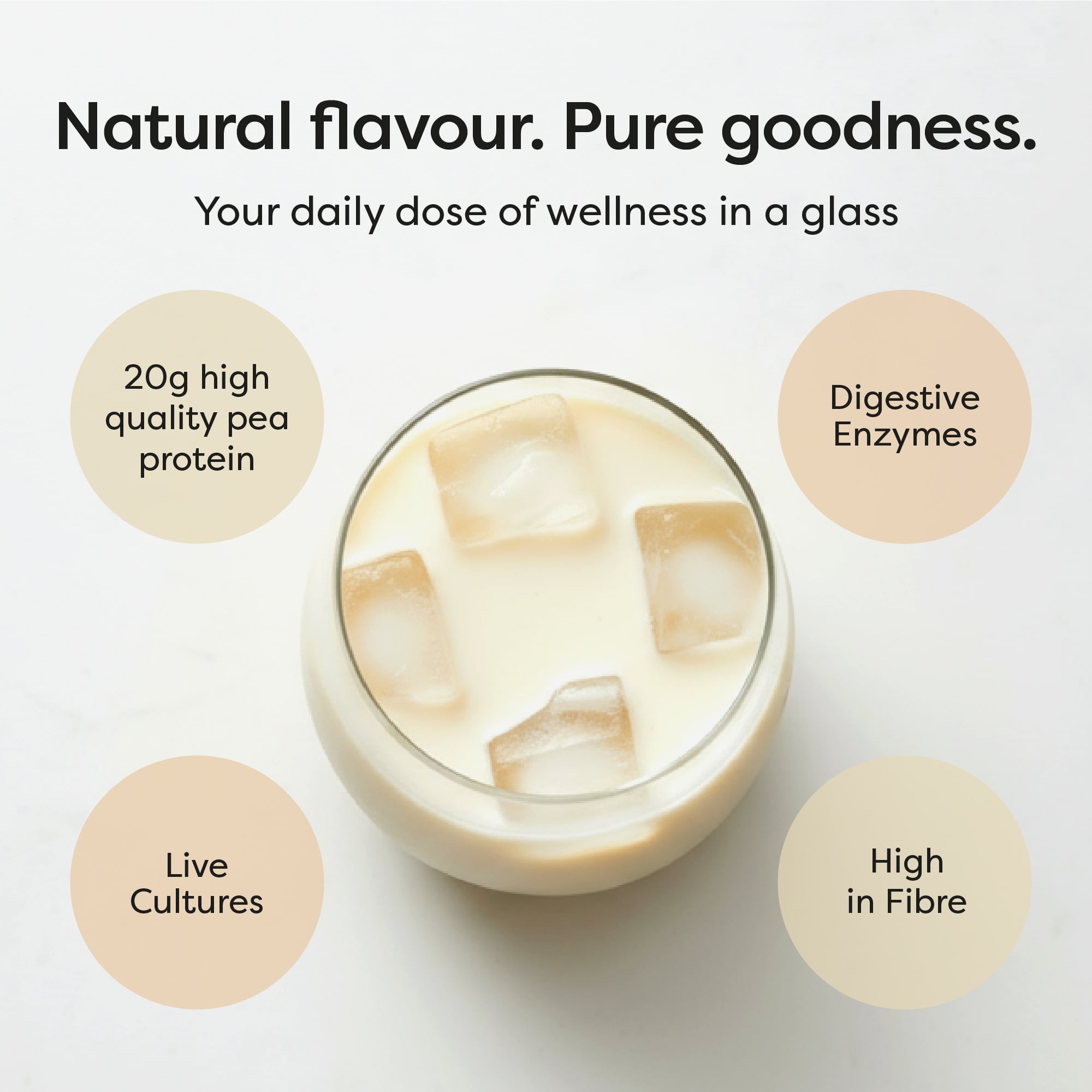 Plant Protein Powder - 20 Servings - Image 3