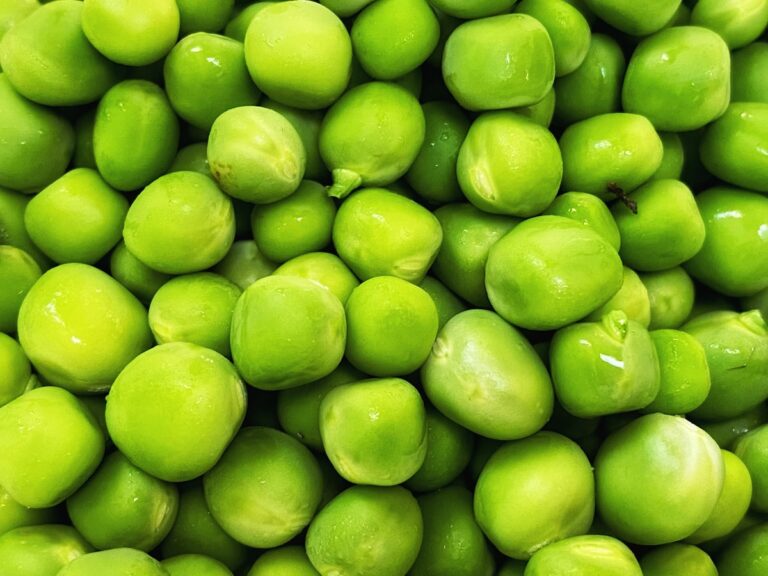 Pea Protein Powder: Why It’s Taken Over (And Whether It’s Worth It)