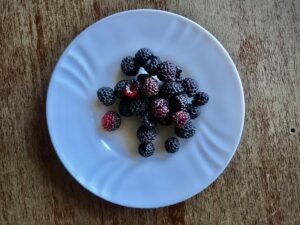 Colourful smoothie bowl topped with fresh berries and seeds, a plant based protein meal