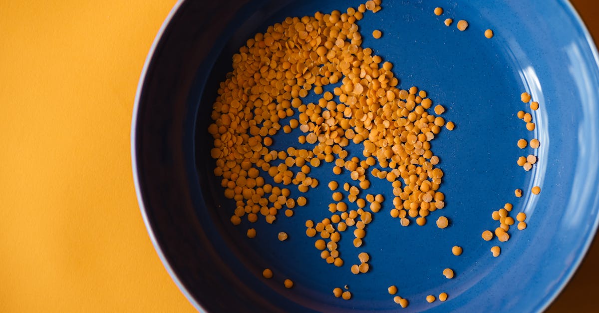 Dried lentils in a bowl — the plant source family that includes split peas used for pea protein