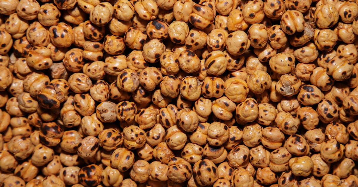 Roasted chickpeas — high-protein, high-fibre crisp alternative